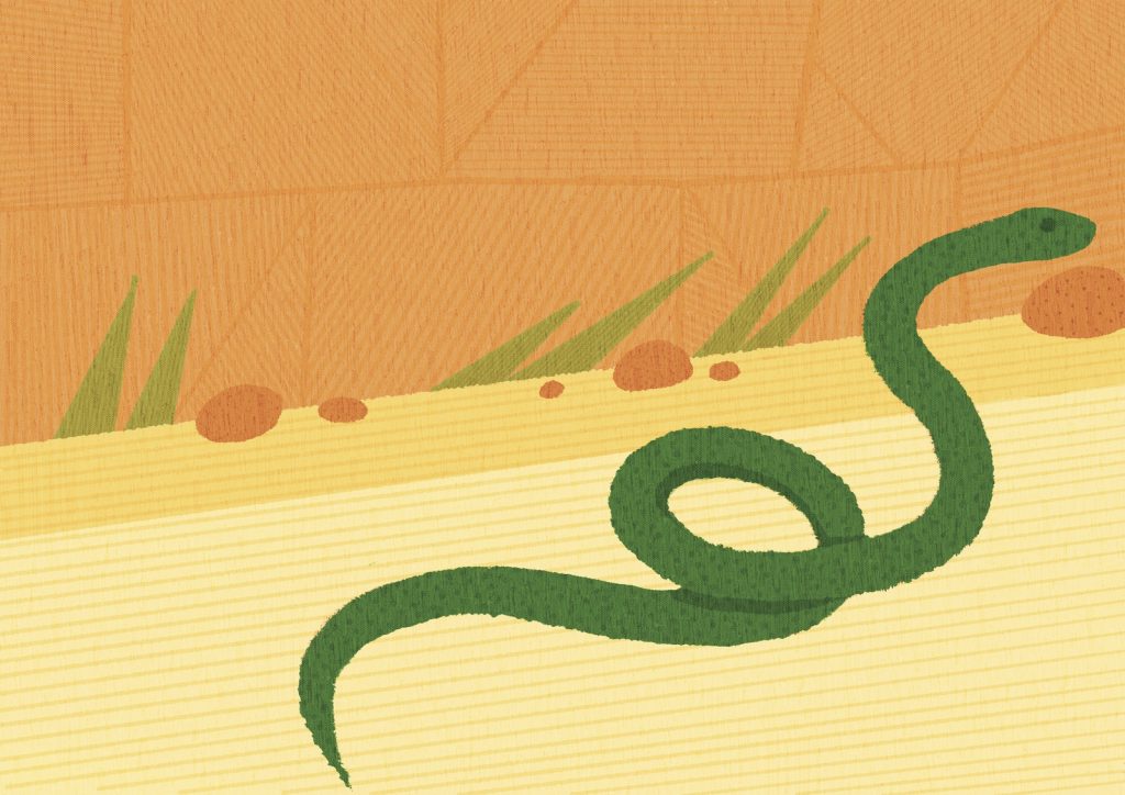 イロドリノコトノハ　2024