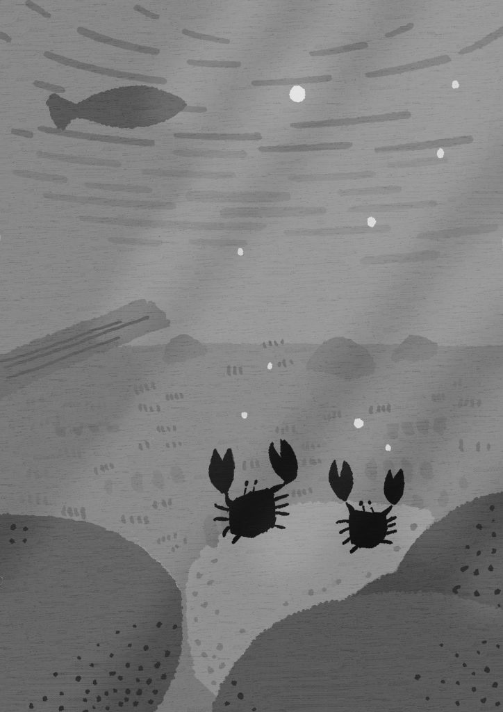 〈習作〉やまなし