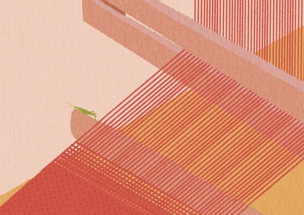 イロドリノコトノハ　2024