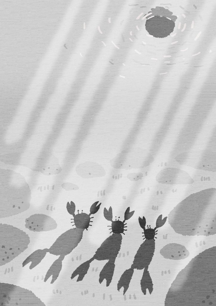 〈習作〉やまなし